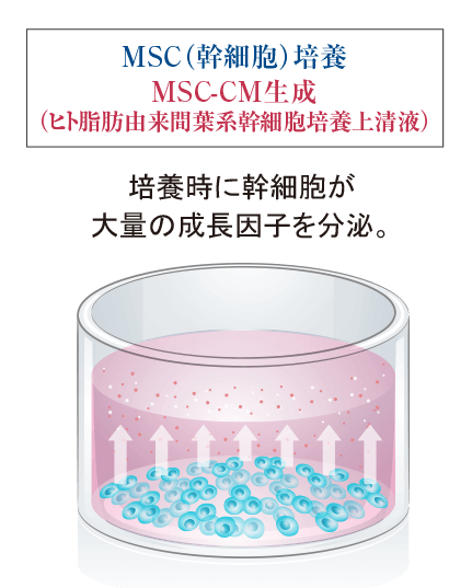 MSC-CM（ヒト脂肪由来間葉系幹細胞培養上清液）療法を導入しています